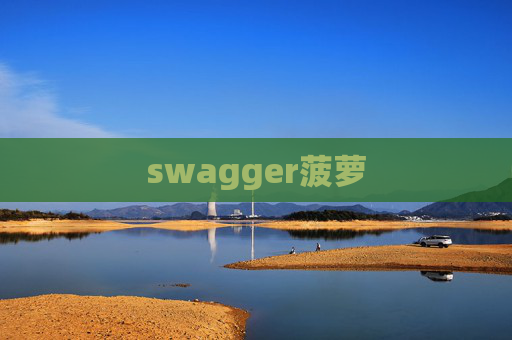swagger菠萝 swagger菠萝